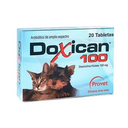 Doxican 100 X 20 Tab