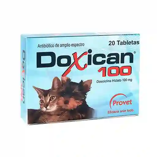 Doxican 100 X 20 Tab