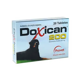 Doxican 200 X 20 Tab