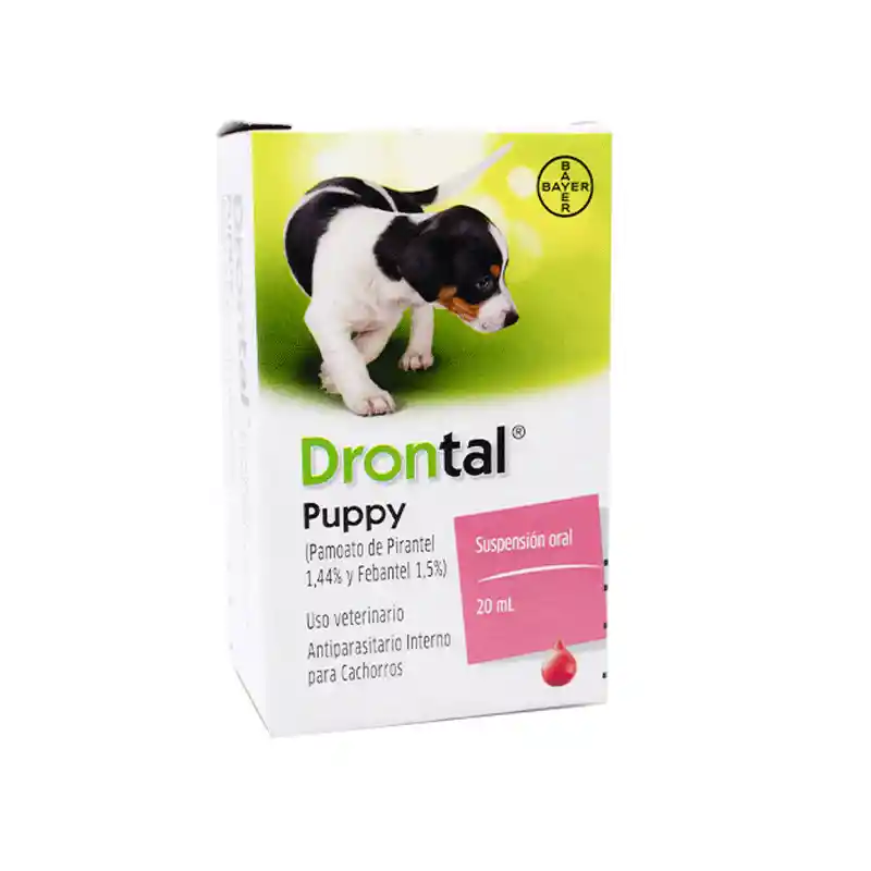 Drontal Cachorro 20 Ml