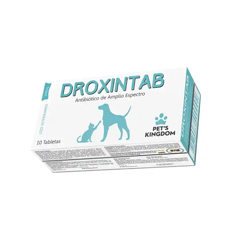 Droxintab 100 Mg 10 Tab