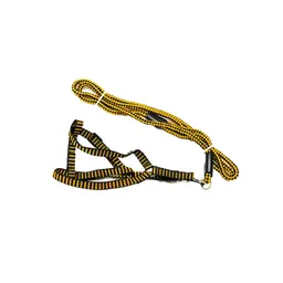 Pechera Correa Redonda Talla S