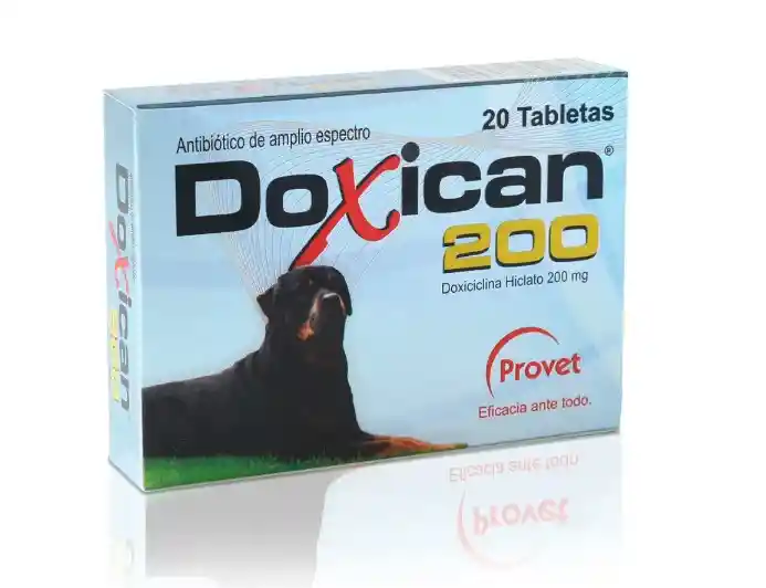 Doxican 200 Mg