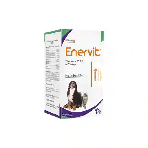 Enervit 240 Ml