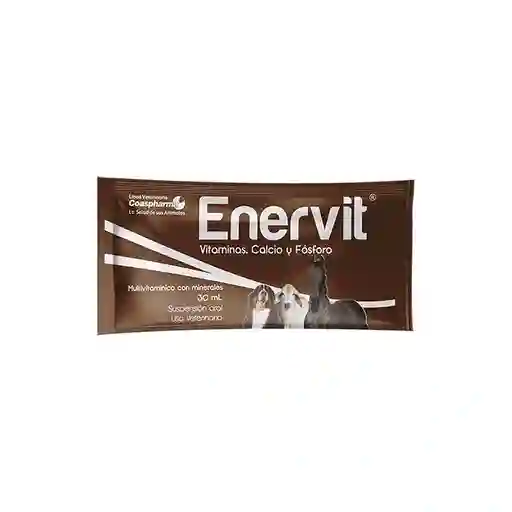 Enervit Sachet 30 Ml