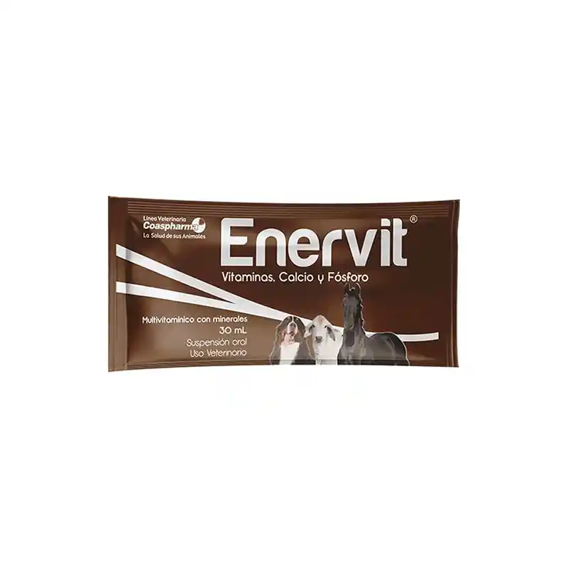 Enervit Sachet 30 Ml