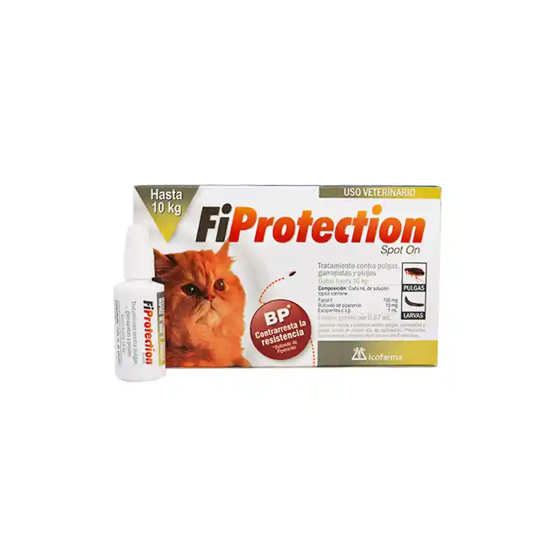 Fiprotection Gatos