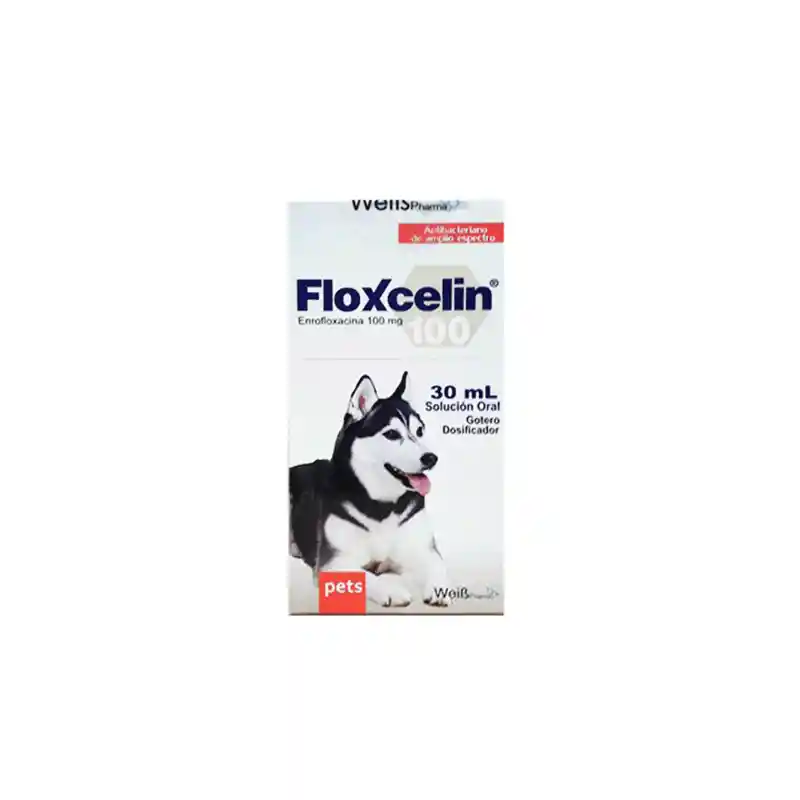 Floxcelin Oral 30 Ml