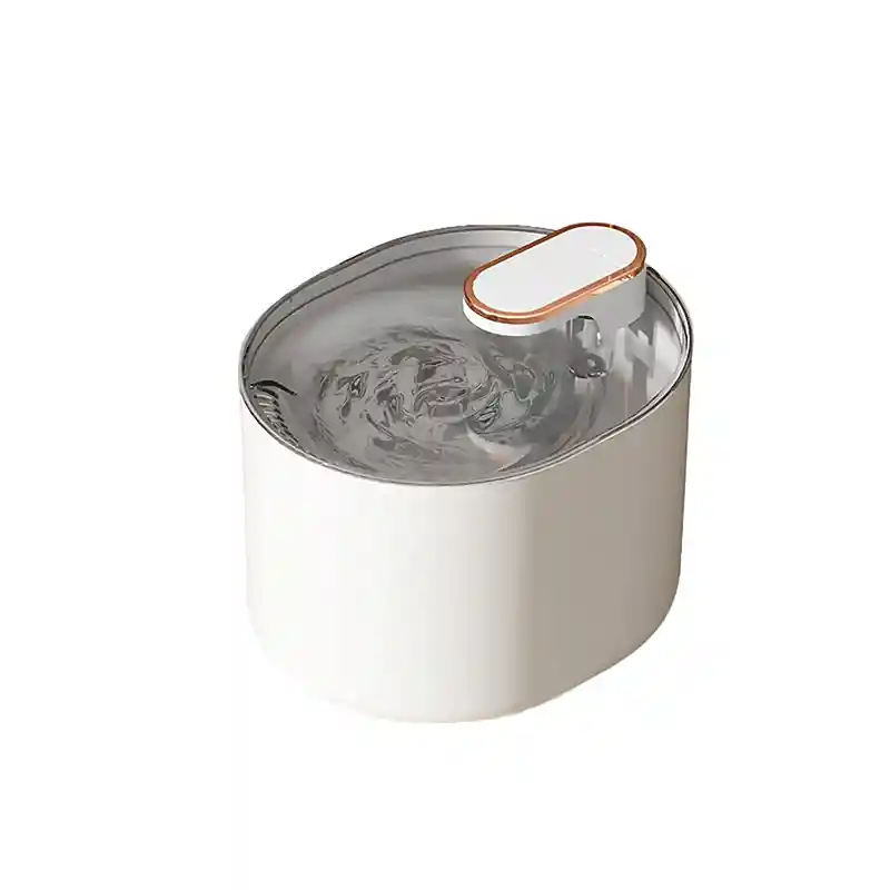 Fuente Dispensador De Agua