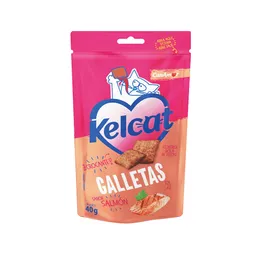 Galletas Gatos Kelcat Salmon 40g Can Amor