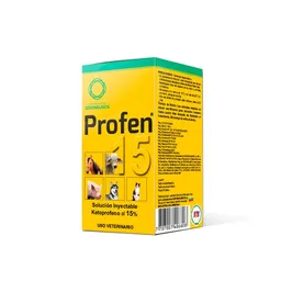 Profen 100 Ml