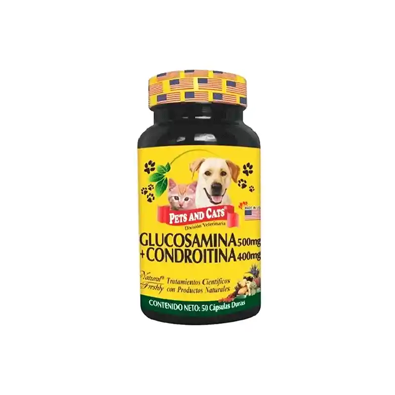 Glucosamina + Chondroitina Frasco X50 Cap