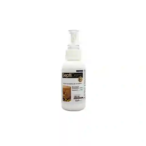 Septiderm 120 Ml