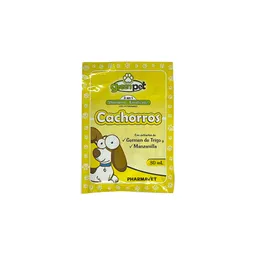 Shampoo Cachorros 30ml Green Pet