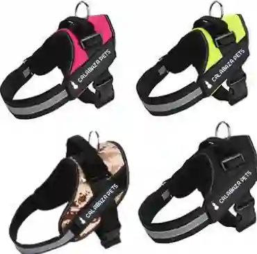 Arnes Antitirones Calabaza Xs Rfpa70