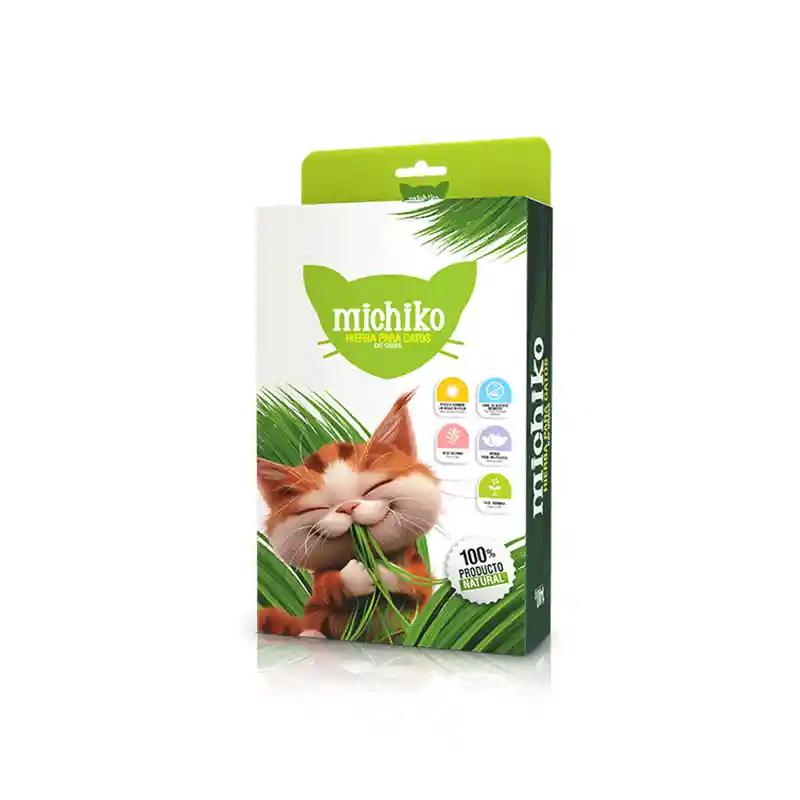 Kit De Siembra Michiko Hierba Gatos 140gr