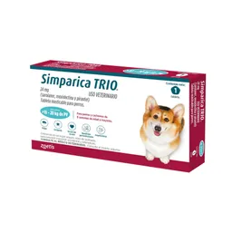 Simparica Trio Azul 10,1-20kg