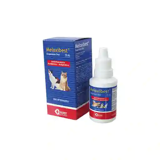 Meloxibest 10 Ml