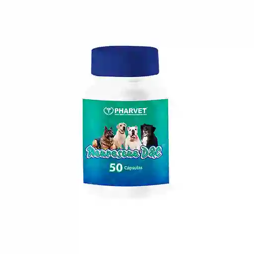Neurescue D&c Pastillero 50 Cap