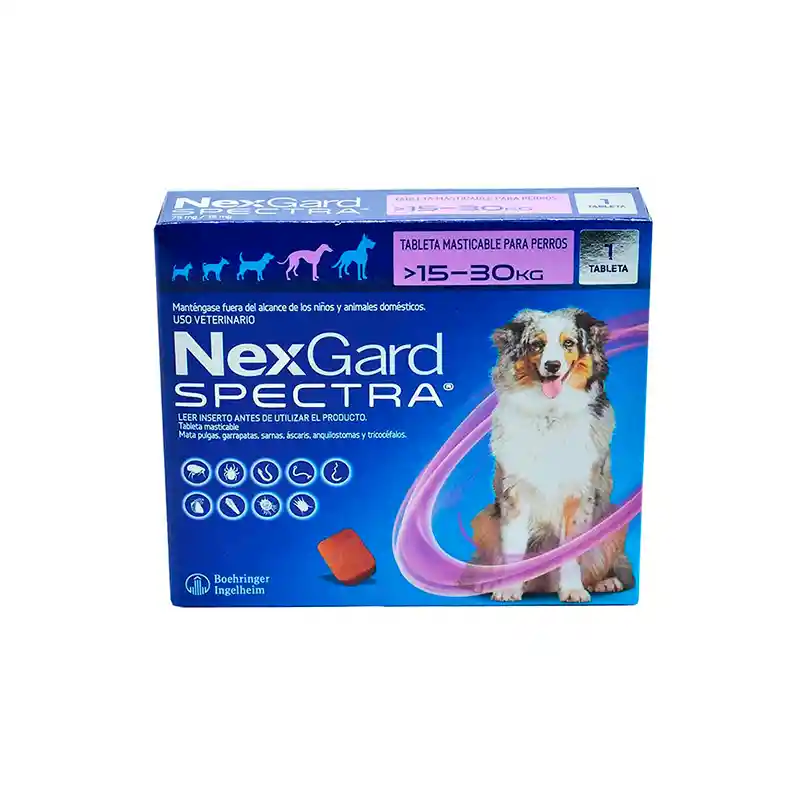 Nexgard Spectra L 15 A 30kg (morado)