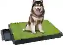 Cesped Para Perro 51 Cm X 63 Cm Pasto Sintetico Para Perro Control Y Manejo De Orina