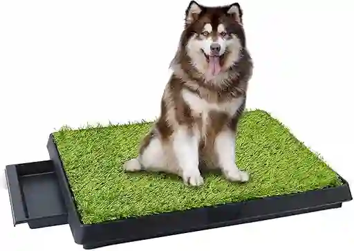 Cesped Para Perro 51 Cm X 63 Cm Pasto Sintetico Para Perro Control Y Manejo De Orina