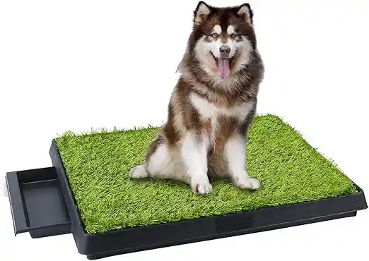 Cesped Para Perro 51 Cm X 63 Cm Pasto Sintetico Para Perro Control Y Manejo De Orina