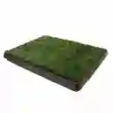 Cesped Para Perro 51 Cm X 63 Cm Pasto Sintetico Para Perro Control Y Manejo De Orina