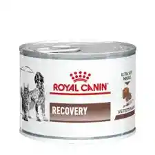 Royal Canin Recovery Lata X145 Gr