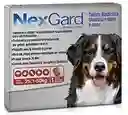 Nexgard Perro 25 - 50