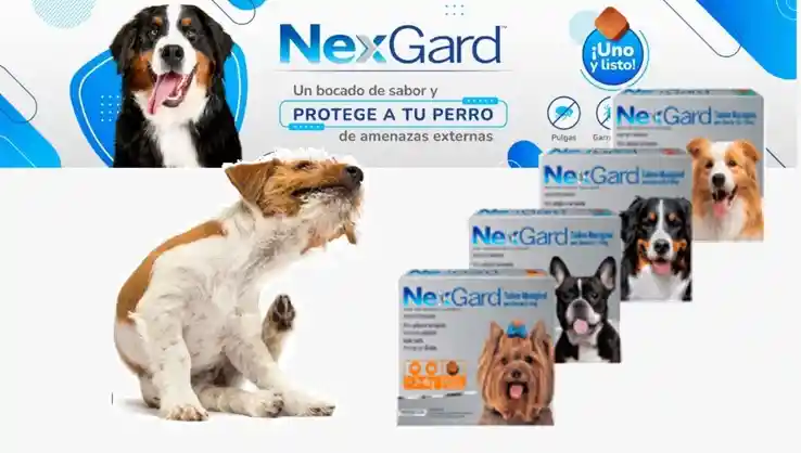 Nexgard Perro 25 - 50