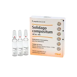 Solidago 5 Ampollas