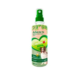Spray Arbol De Te Can Amor