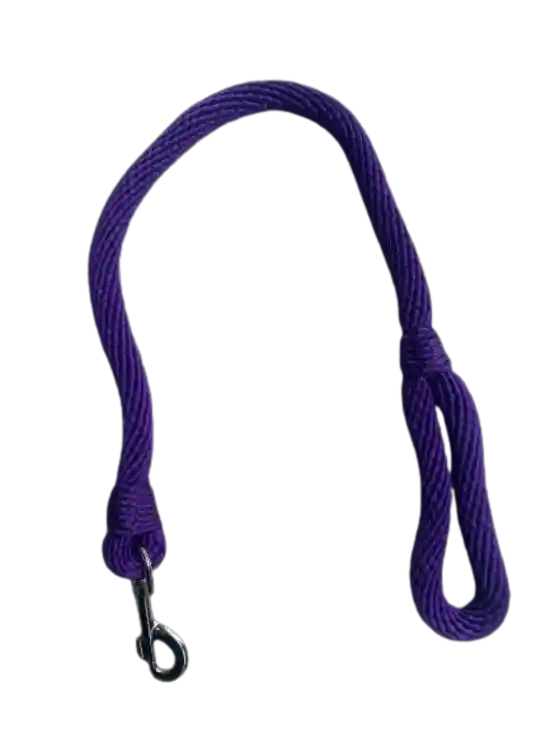 Collar Correa Trailla Gruesa Para Perros