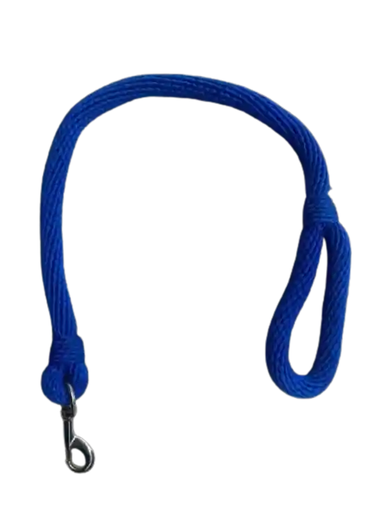 Collar Correa Trailla Gruesa Para Perros