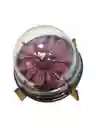 Vela Aromática En Forma De Flor Con Cúpula