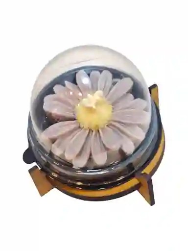 Vela Aromática En Forma De Flor Con Cúpula