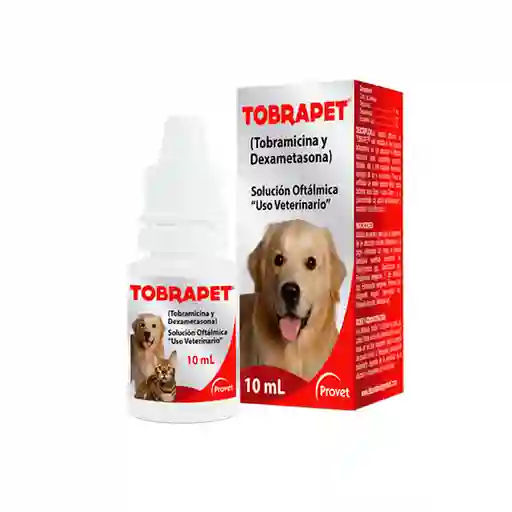Tobrapet 10ml