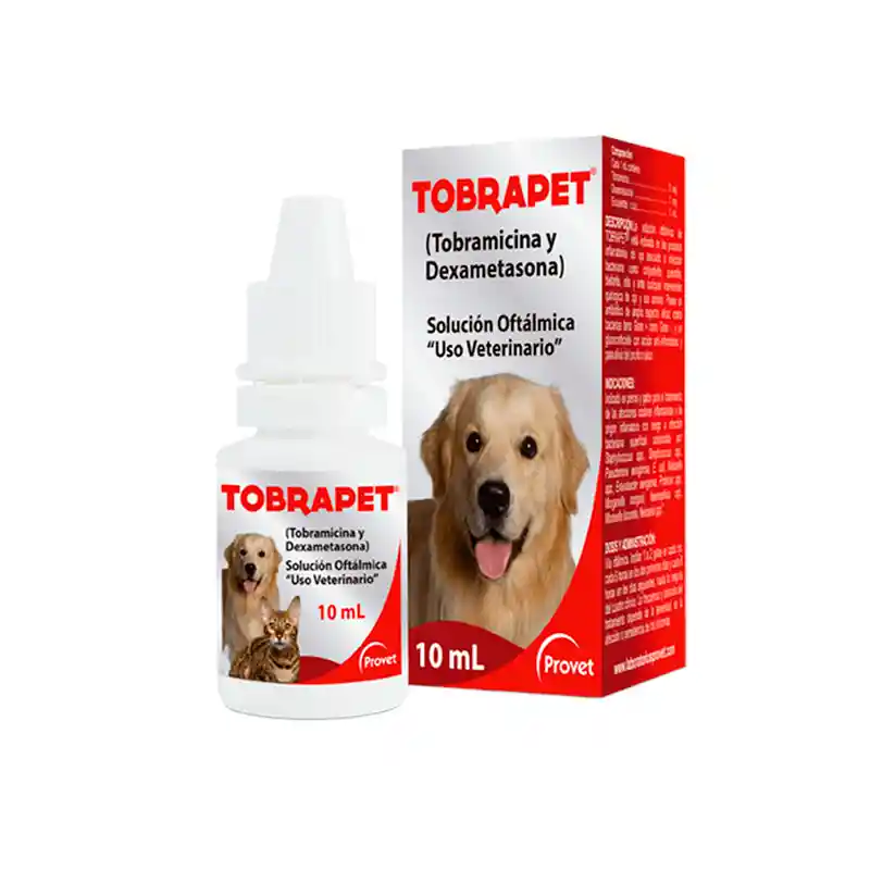 Tobrapet 10ml