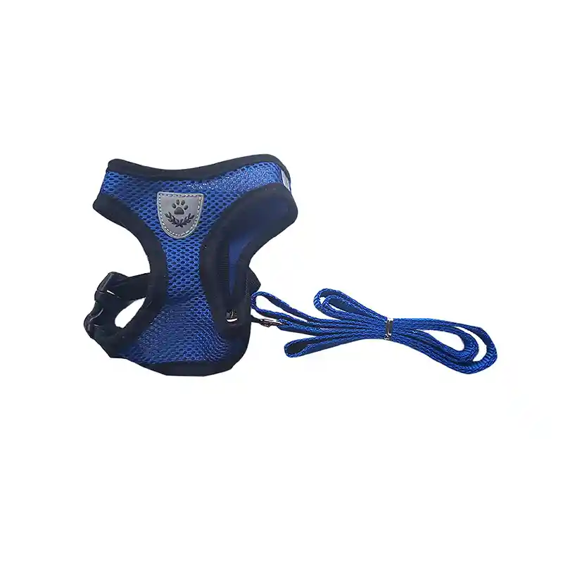 Arnes Con Correa Talla S