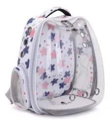 Morral Transparente De Estrellas