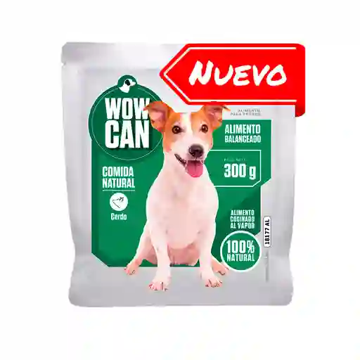 Wow Can 300 Gr Cerdo