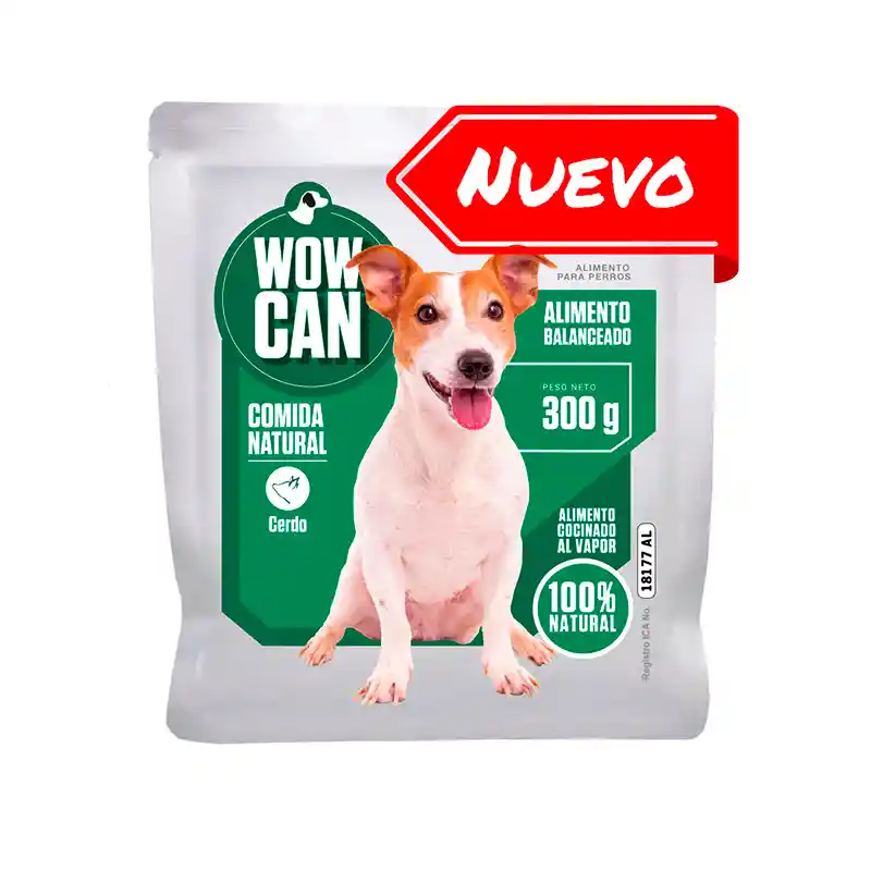 Wow Can 300 Gr Cerdo