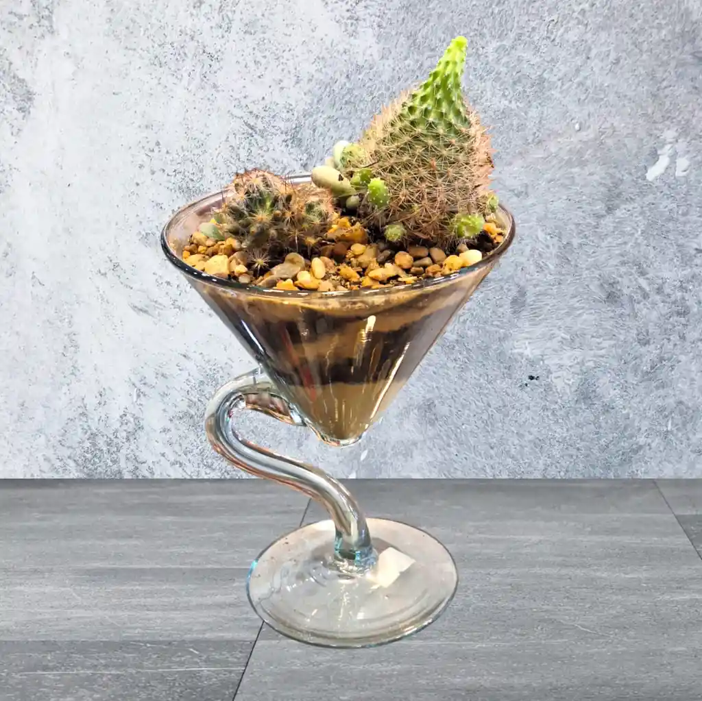 Terrario Jardín Martini