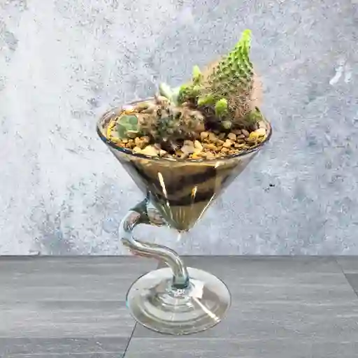 Terrario Jardín Martini