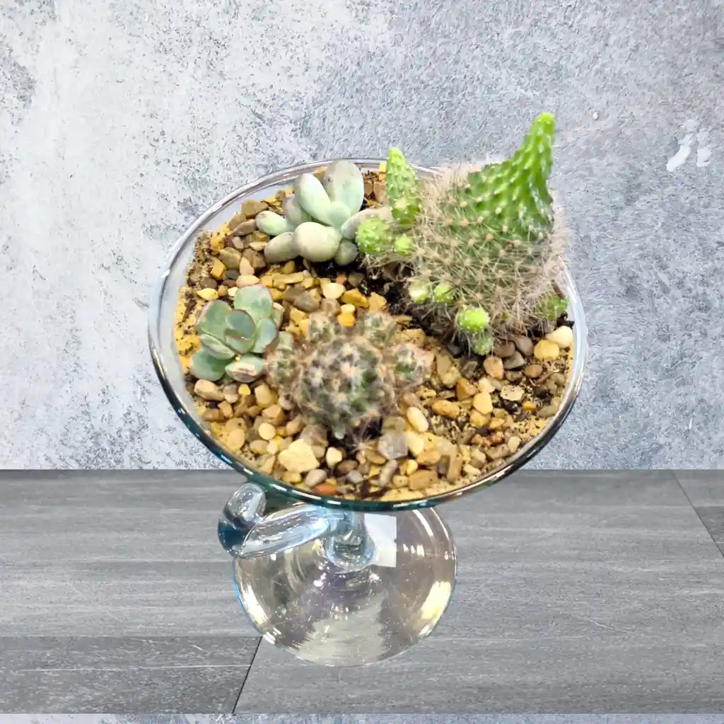 Terrario Jardín Martini