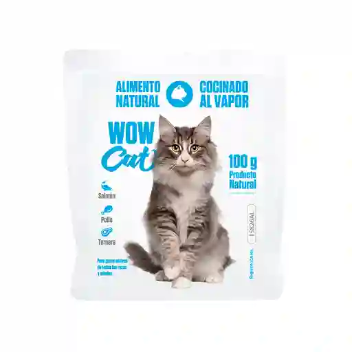 Wow Cat Pollo 100 Gr