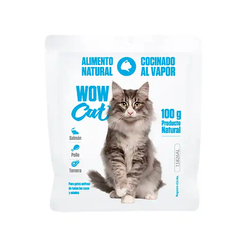 Wow Cat Pollo 100 Gr