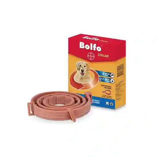 Bolfo Collar Antipulgas