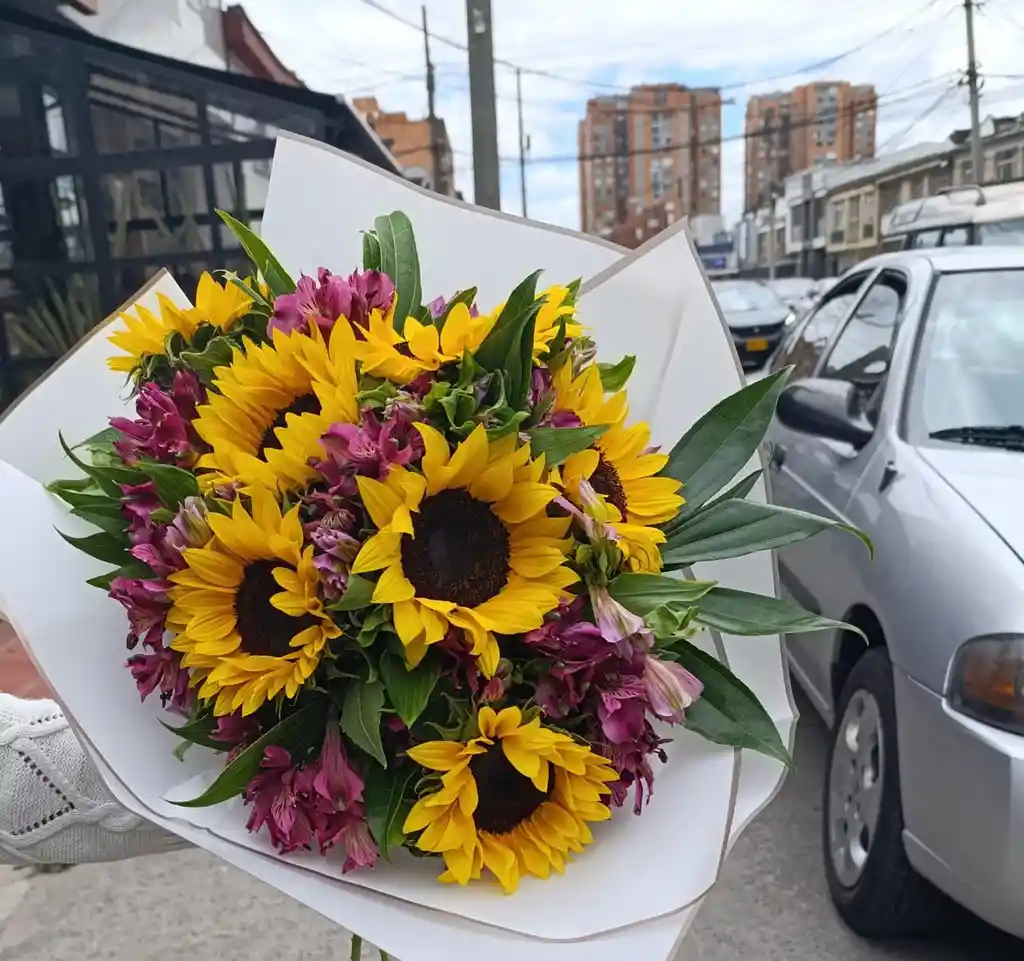 Girasoles Y Astro